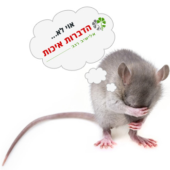 הדברת מכרסמים