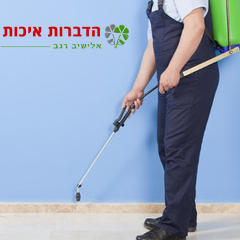 שירות אחזקה שנתי