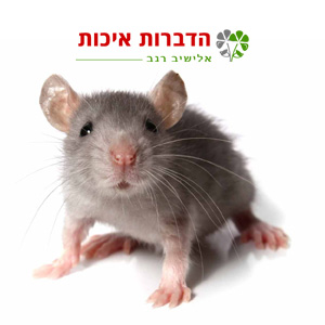 הדברה בחיפה